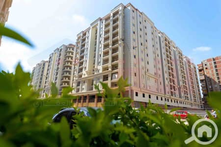 3 Bedroom Flat for Sale in Smoha, Alexandria - WhatsApp Image 2026-04-09 at 3.01. 21 PM. jpg