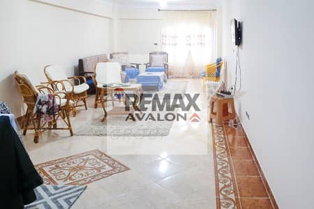 شقة 3 غرف نوم للايجار في جناكليس، الإسكندرية - 1 (1). jpg