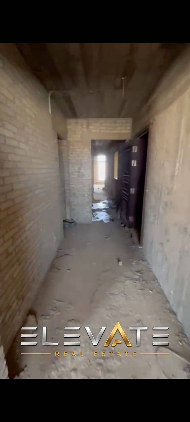 4 1001196814. png