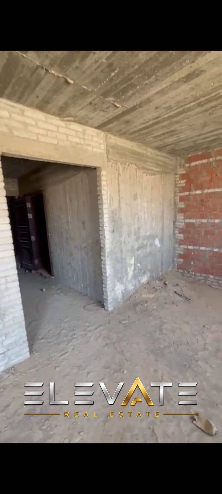 7 1001196813. png