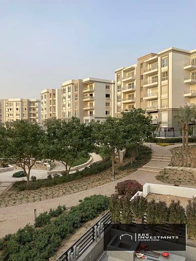 3 Bedroom Apartment for Rent in New Cairo, Cairo - 2024-12-25 (2). jpg 3 Bedroom Apartment for Rent in New Cairo, Cairo - 2024-12-25 (2). jpg