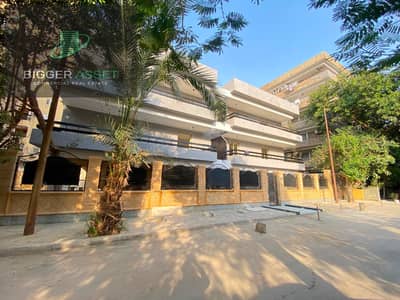 Commercial Building for Rent in Maadi, Cairo - WhatsApp Image 2026-08-12 at 5.52. 29 PM. jpeg