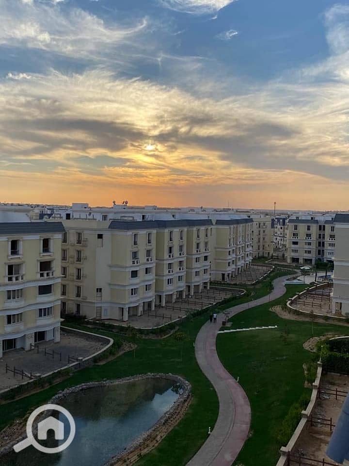 5 15. jpg