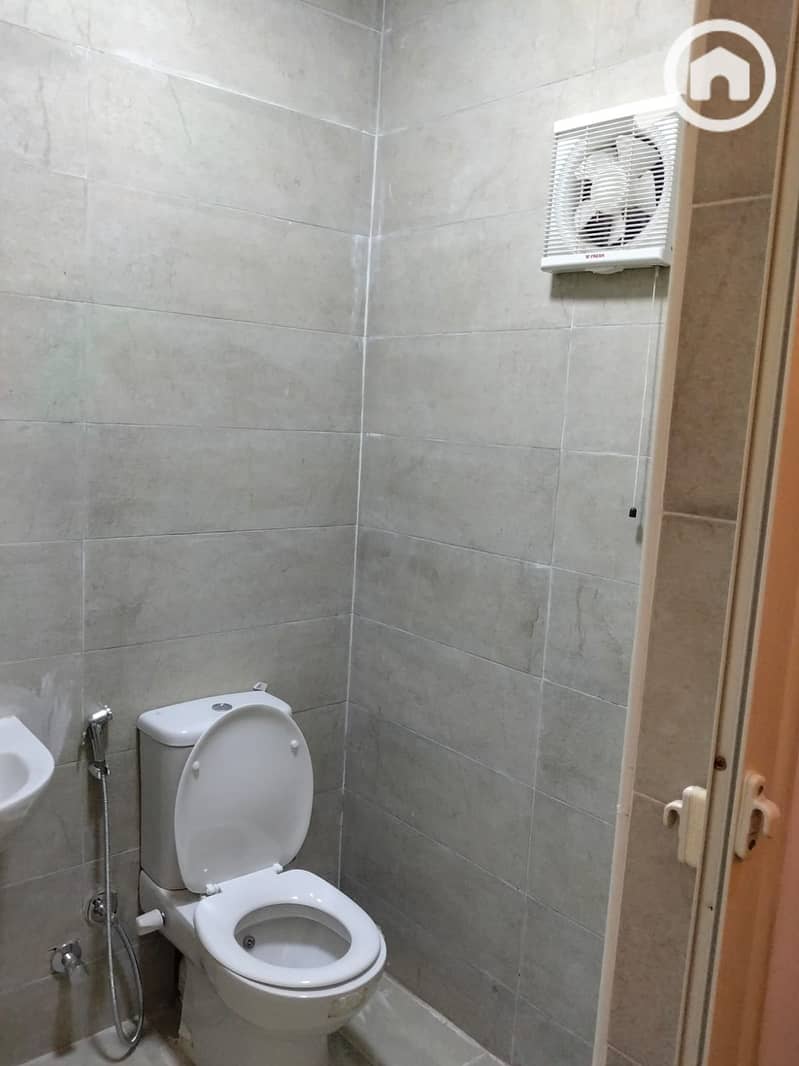 5 3803. jpg