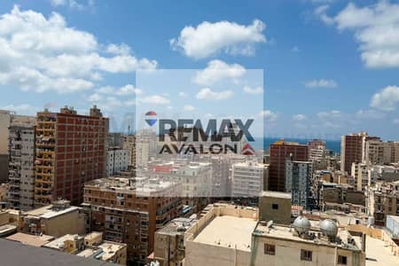 فلیٹ 3 غرف نوم للايجار في الابراهيمية، الإسكندرية - 1. jpg فلیٹ 3 غرف نوم للايجار في الابراهيمية، الإسكندرية - 1. jpg