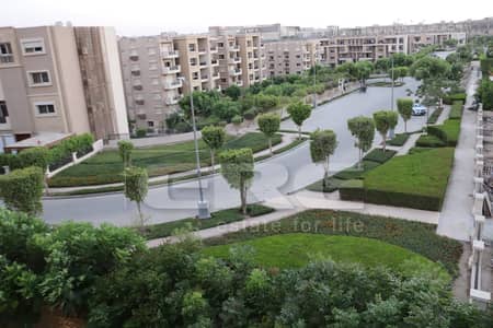 شقة 3 غرف نوم للايجار في القاهرة الجديدة، القاهرة - WhatsApp Image 2026-08-13 at 12.29. 59 PM. jpeg شقة 3 غرف نوم للايجار في القاهرة الجديدة، القاهرة - WhatsApp Image 2026-08-13 at 12.29. 59 PM. jpeg