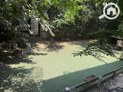 Office for Rent in Maadi, Cairo - 81b01f5c-6c0a-45cc-90aa-d60be73a8da7. jpeg