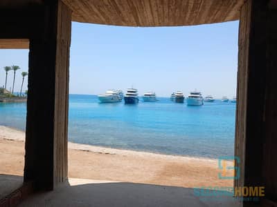 Studio for Sale in Hurghada, Red Sea - WhatsApp Image 2026-08-06 at 4.04. 14 PM (3). jpeg Studio for Sale in Hurghada, Red Sea - WhatsApp Image 2026-08-06 at 4.04. 14 PM (3). jpeg