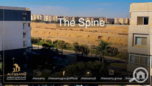 4 Bedroom Flat for Rent in Madinaty, Cairo - WhatsApp Image 2026-08-13 at 4.33. 49 PM (1). jpeg 4 Bedroom Flat for Rent in Madinaty, Cairo - WhatsApp Image 2026-08-13 at 4.33. 49 PM (1). jpeg