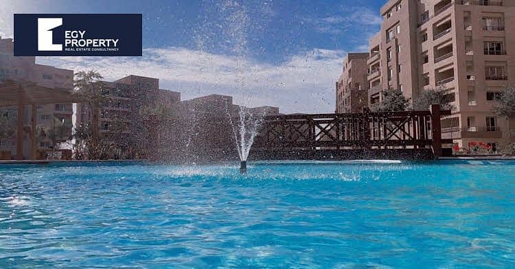 5 IMG_1210. PNG
