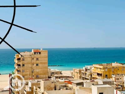 3 Bedroom Flat for Sale in Nakheel, Alexandria - 1001022856. jpg