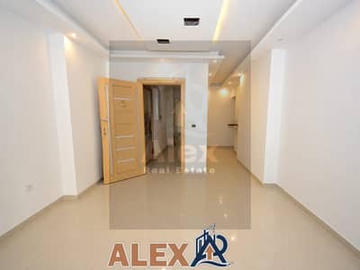 عيادة  للايجار في الابراهيمية، الإسكندرية - WhatsApp Image 2026-08-13 at 2.37. 00 PM. jpeg