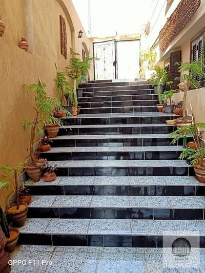 فلیٹ 3 غرف نوم للايجار في القاهرة الجديدة، القاهرة - WhatsApp Image 2026-08-10 at 1.58. 17 PM (1). jpeg فلیٹ 3 غرف نوم للايجار في القاهرة الجديدة، القاهرة - WhatsApp Image 2026-08-10 at 1.58. 17 PM (1). jpeg