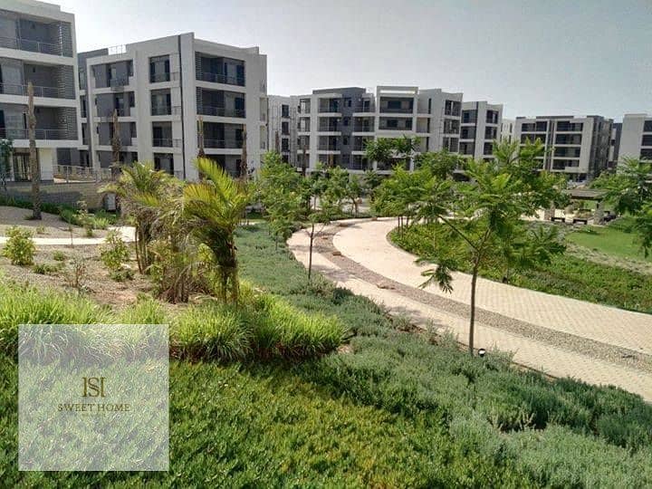 2 34774659_176120559897615_255917357203980288_n. jpg