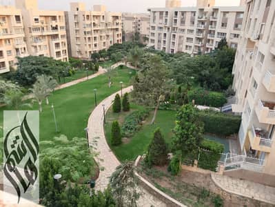 4 Bedroom Flat for Sale in Madinaty, Cairo - WhatsApp Image 2026-08-13 at 6.05. 05 PM (1). jpeg 4 Bedroom Flat for Sale in Madinaty, Cairo - WhatsApp Image 2026-08-13 at 6.05. 05 PM (1). jpeg