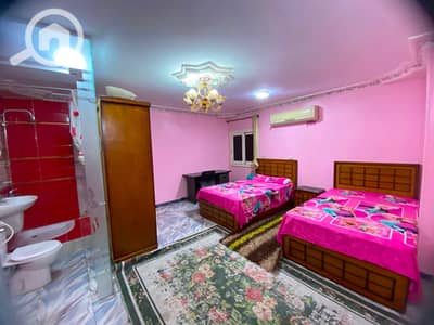 3 Bedroom Flat for Rent in Zagazig, Sharqia - 89f0f1b1-d07f-4a3b-9c6c-e0689d393b64. jpg 3 Bedroom Flat for Rent in Zagazig, Sharqia - 89f0f1b1-d07f-4a3b-9c6c-e0689d393b64. jpg
