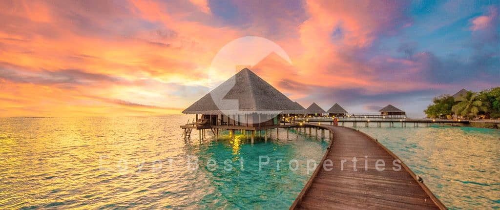 20 banner_themaldives_01. jpg