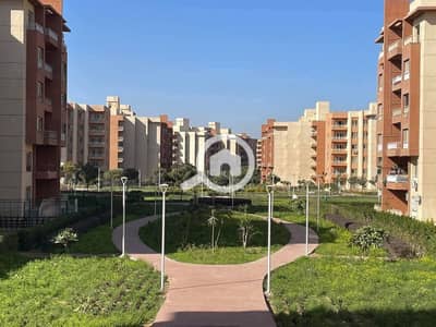 3 Bedroom Flat for Rent in Shorouk City, Cairo - WhatsApp Image 2026-08-09 at 4.24. 14 PM. jpeg 3 Bedroom Flat for Rent in Shorouk City, Cairo - WhatsApp Image 2026-08-09 at 4.24. 14 PM. jpeg