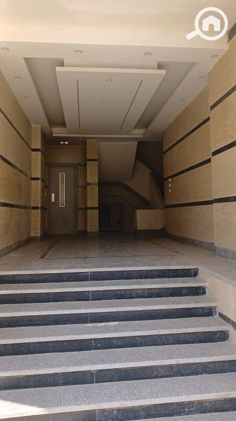 4 313374. jpg