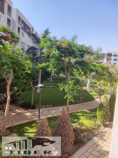 3 Bedroom Flat for Sale in Madinaty, Cairo - 228597. jpg 3 Bedroom Flat for Sale in Madinaty, Cairo - 228597. jpg