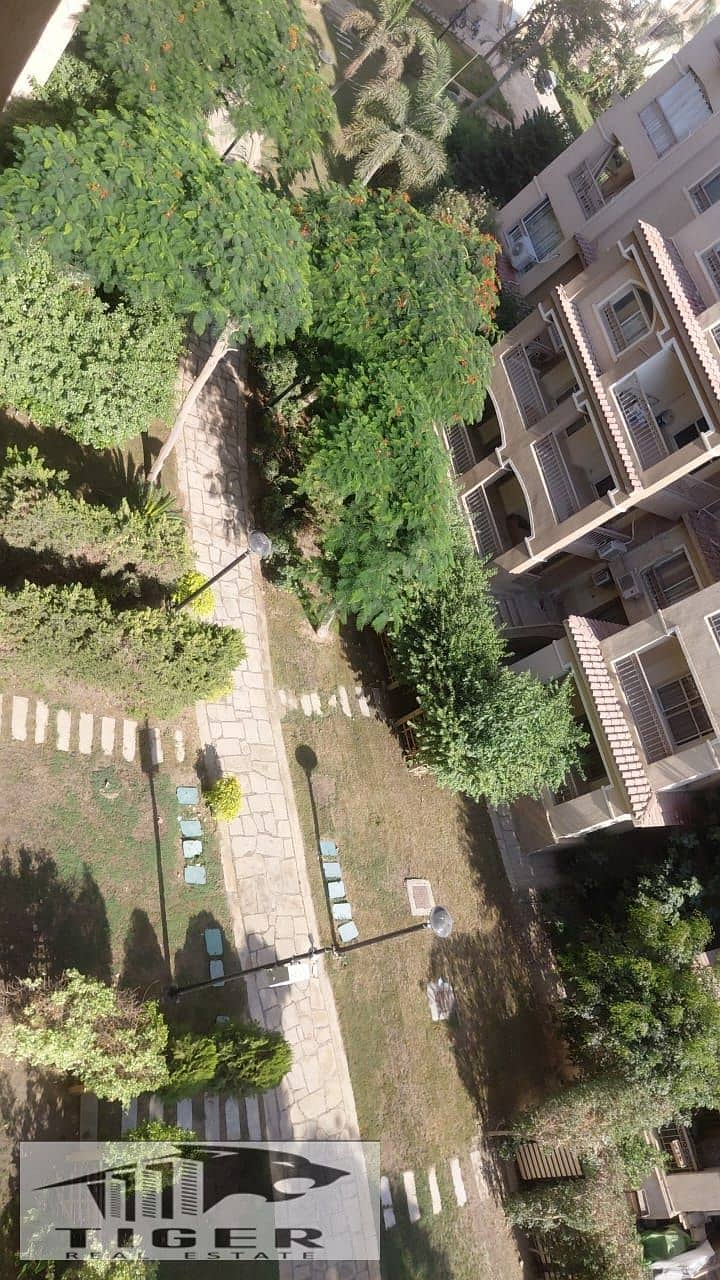 6 228607. jpg