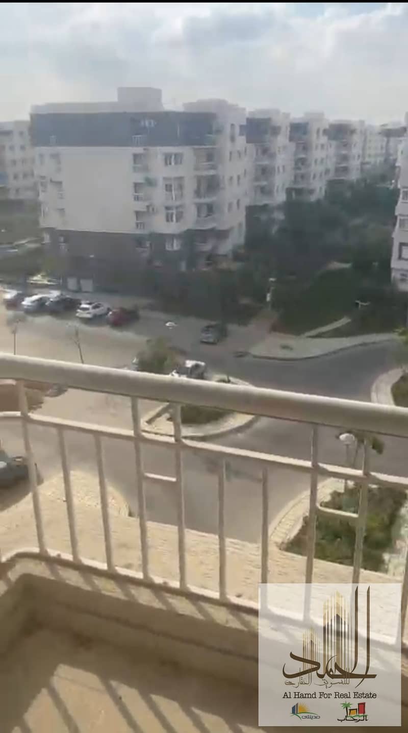 2 1000875893. jpg
