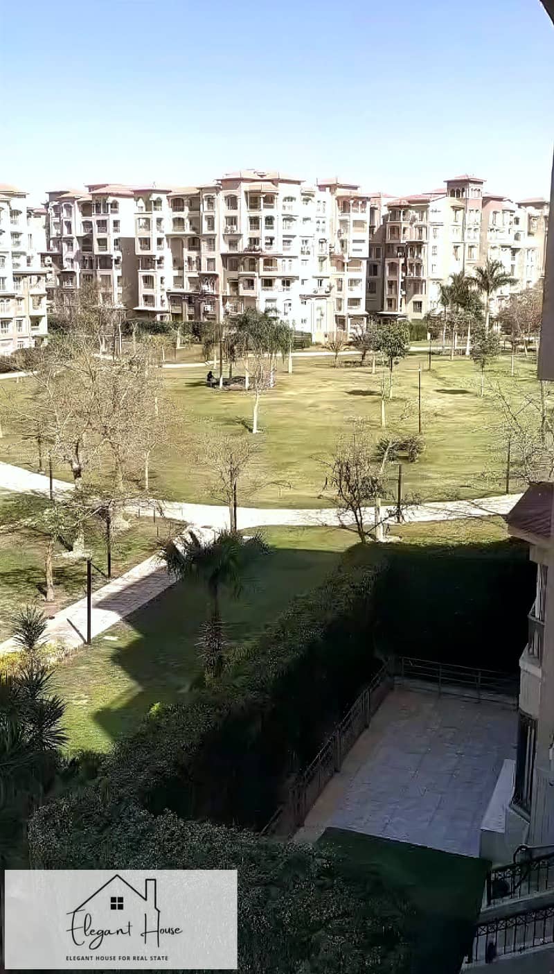 7 1001313637. jpg