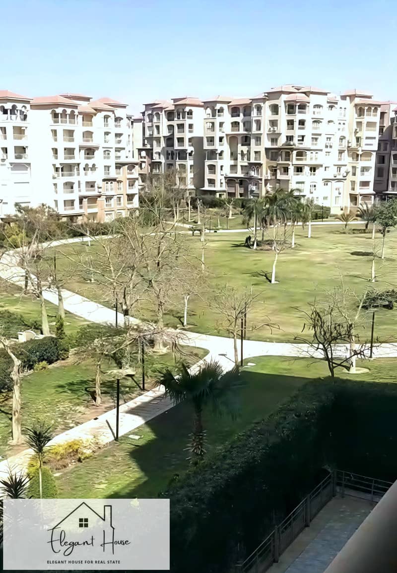 8 1001313638. jpg