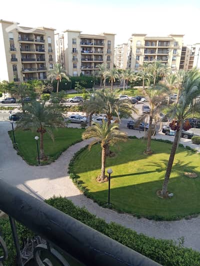 3 Bedroom Apartment for Rent in New Cairo, Cairo - WhatsApp Image 2026-08-13 at 7.08. 32 PM. jpeg