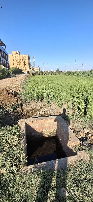 Commercial Land for Sale in Tanta, Gharbia - أرض بمنطقة الاستاد للبيع من المالك مباشرة