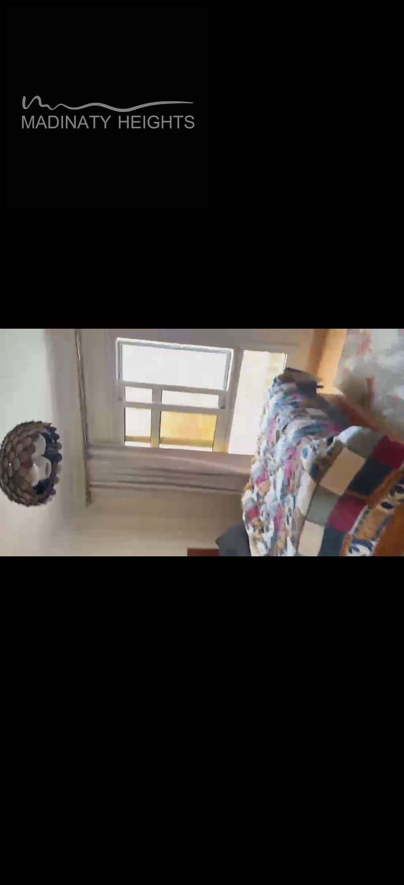 5 109874. jpg