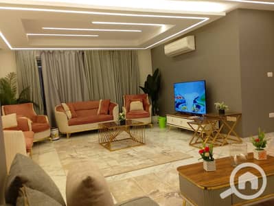 شقة فندقية 3 غرف نوم للايجار في المنيل، القاهرة - 29013. jpg شقة فندقية 3 غرف نوم للايجار في المنيل، القاهرة - 29013. jpg