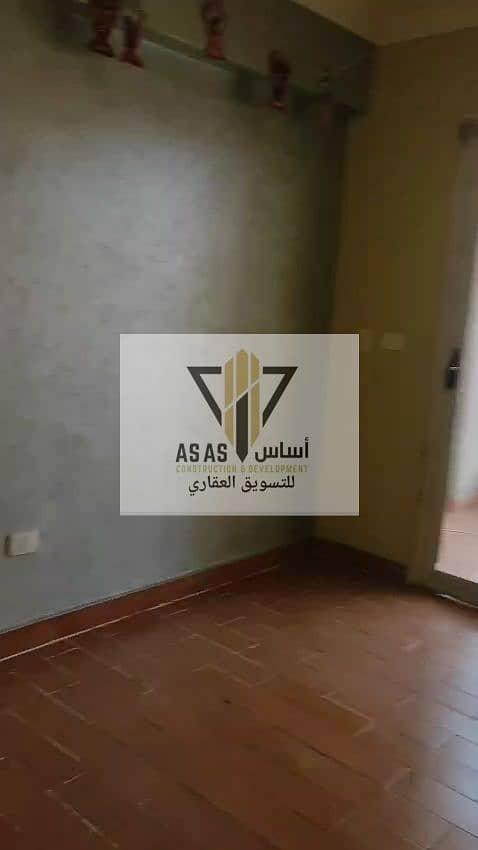 8 26244. jpg