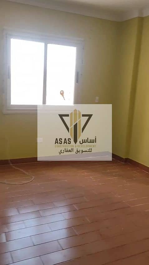 9 26245. jpg