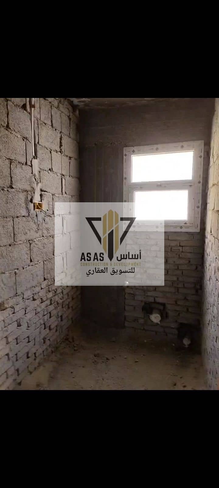 11 34832. jpg