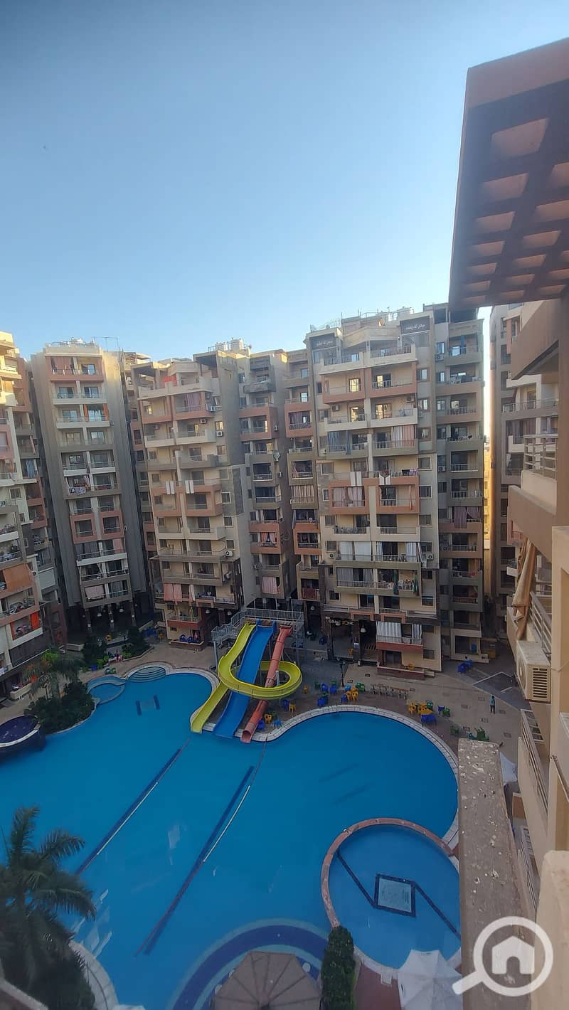 11 1001022955. jpg