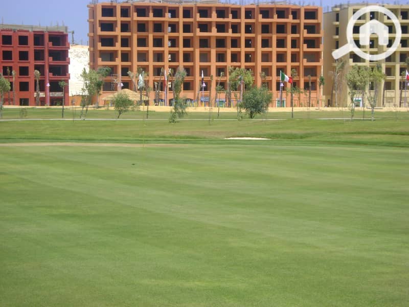 7 DSC00104. JPG