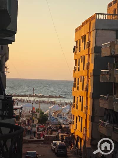 فلیٹ 2 غرفة نوم للبيع في النخيل، الإسكندرية - b164cce6-c2f1-4ab5-9c4f-8bc9b199b11c. jpg