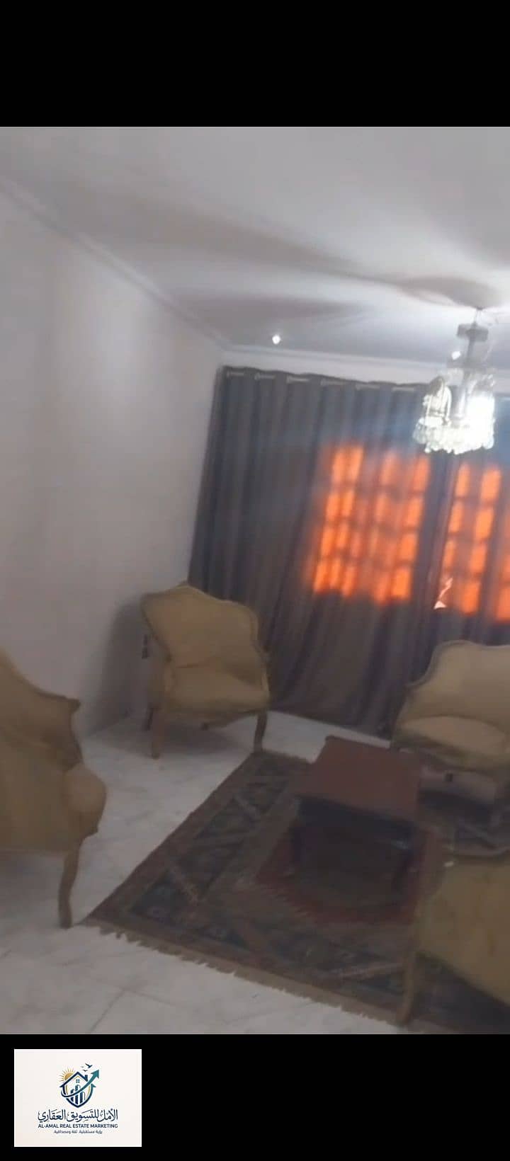 10 1000253183. jpg