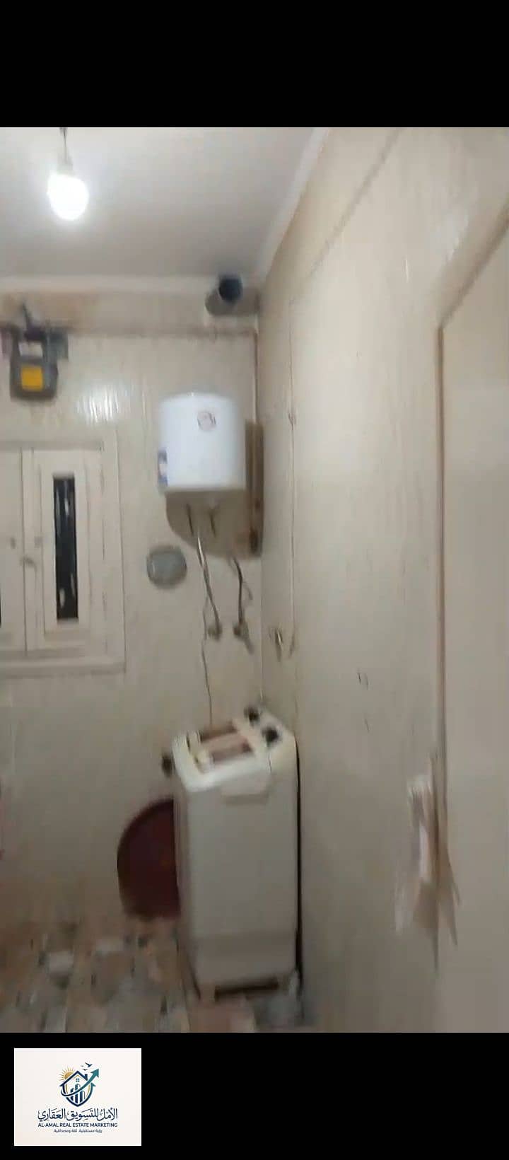 12 1000253234. jpg