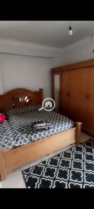 2 Bedroom Flat for Rent in Zagazig, Sharqia - 1001136200. jpg 2 Bedroom Flat for Rent in Zagazig, Sharqia - 1001136200. jpg