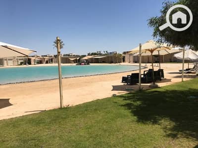 1 Bedroom Chalet for Rent in North Coast, Matruh - WhatsApp Image 2026-08-10 at 00.04. 03 (3). jpeg