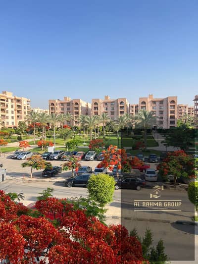 3 Bedroom Flat for Rent in New Cairo, Cairo - WhatsApp Image 2026-08-14 at 8.40. 42 PM. jpeg 3 Bedroom Flat for Rent in New Cairo, Cairo - WhatsApp Image 2026-08-14 at 8.40. 42 PM. jpeg