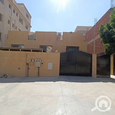 Factory for Rent in New Cairo, Cairo - 1000312394. png Factory for Rent in New Cairo, Cairo - 1000312394. png