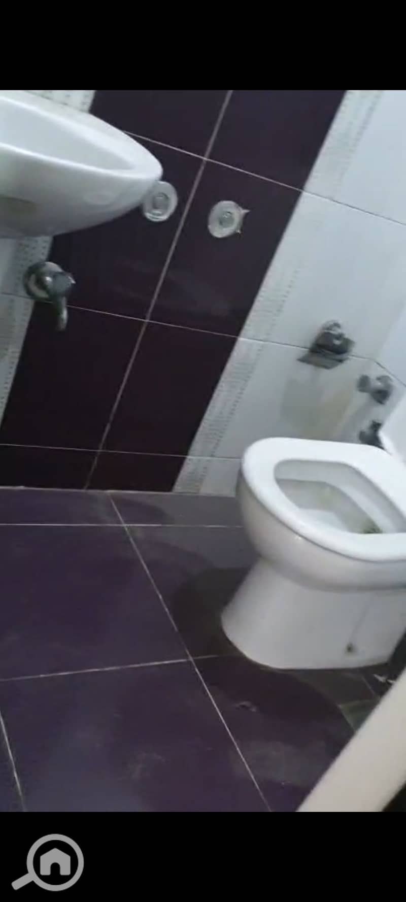 5 1000712479. jpg
