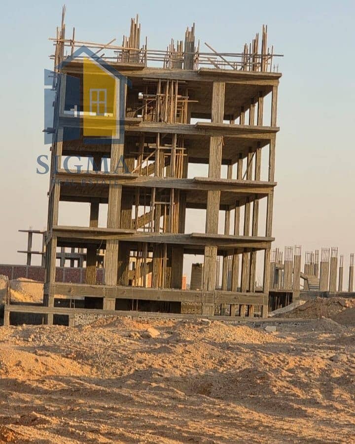6 1000411439. jpg