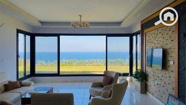 3 IMG_4824. jpg