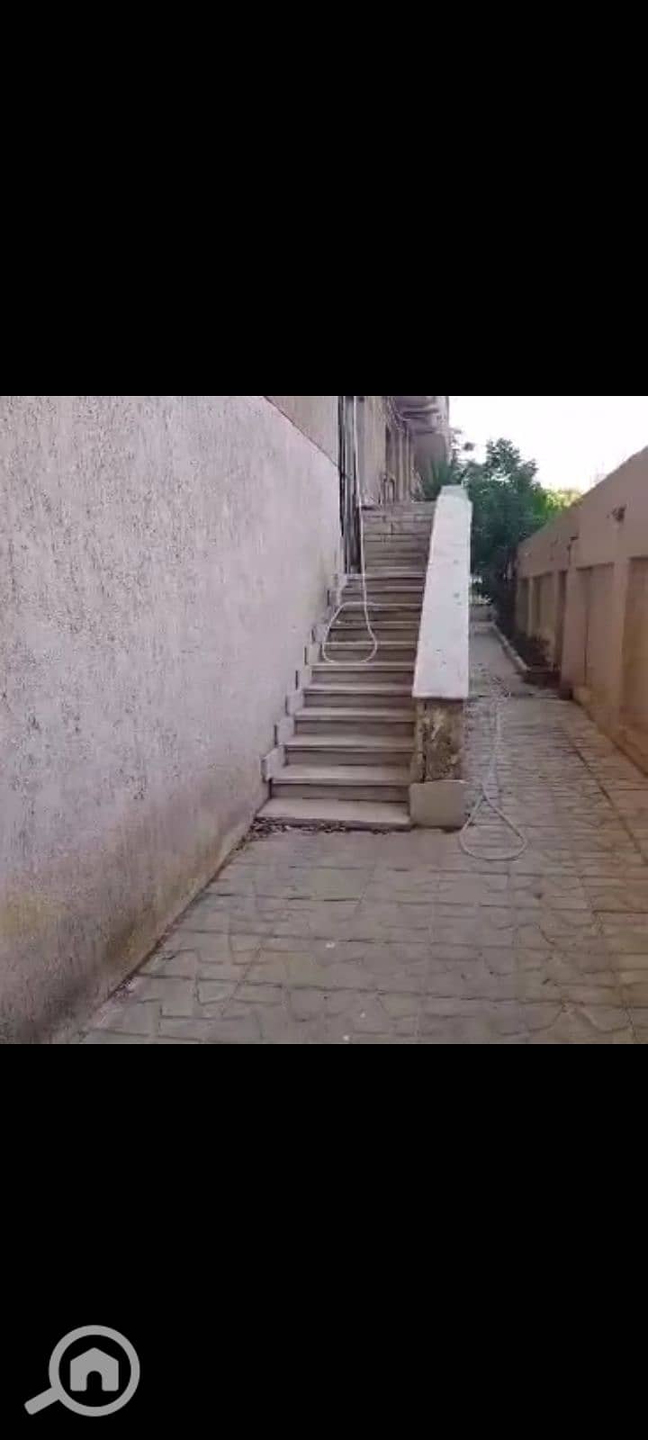 9 1000076514. jpg