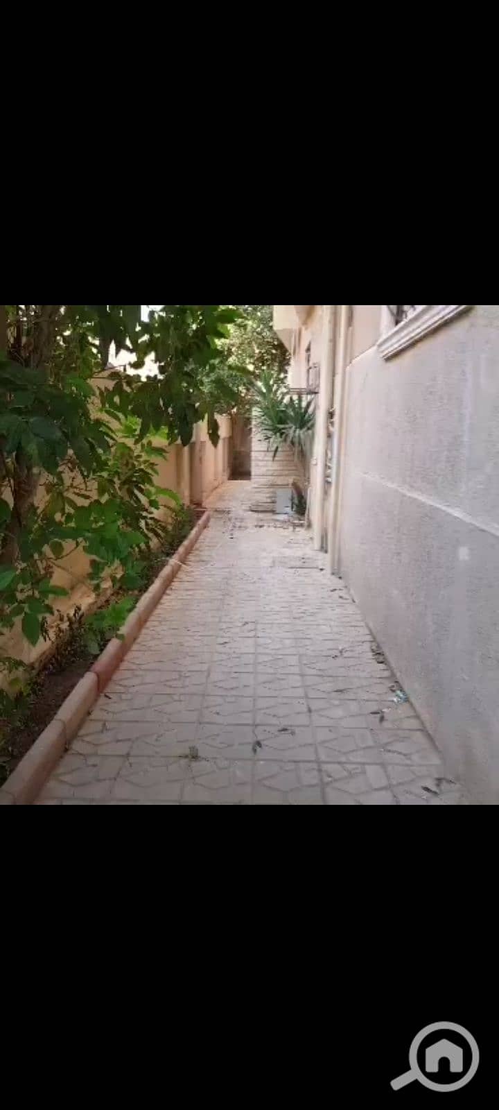 10 1000076513. jpg
