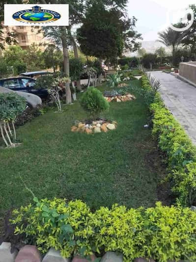 شقة 2 غرفة نوم للايجار في زهراء المعادى، القاهرة - 1000235598. jpg